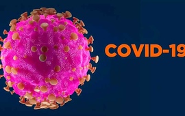 Предпринятые меры в условиях недопущения распространения COVID-19